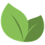 Organic Cotton
