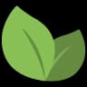 Organic Cotton
