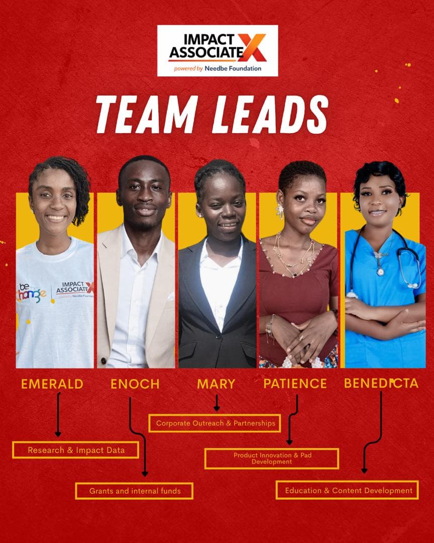 Meet the Impact Leads: The Team Behind the Transformation